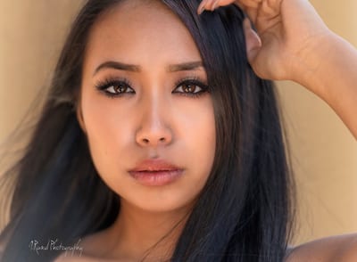 Yeg model