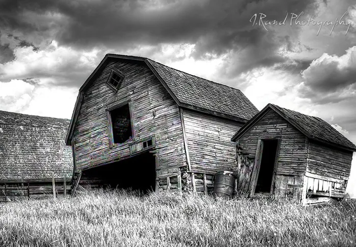 J Rand Photography BW 1